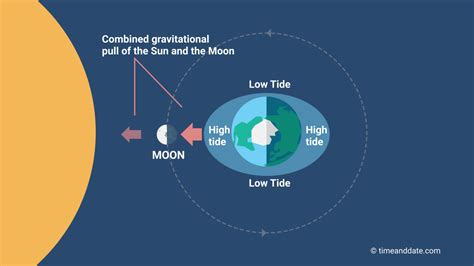 Lunar tide - The lunar high tide coincides with the solar low tide and they partly cancel out, giving a small total tide. The regular motion of the sun, moon and earth cause spring tides to occur roughly 36 to 48 hours after the full or new moon, and for any given location, always at roughly the same time of day. ...